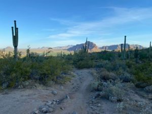 Arizona-and-Beyond-Tonto NF