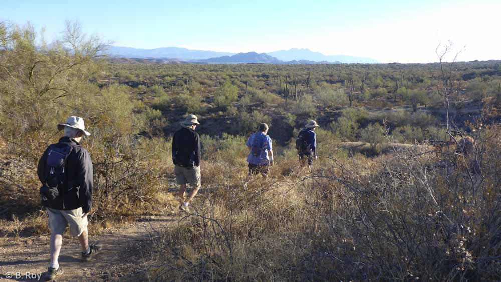 Sonoran Desert Trails – Arizona and Beyond