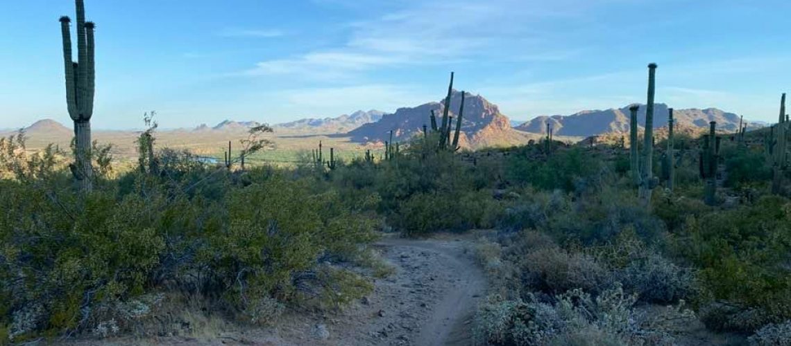 Arizona-and-Beyond-Tonto NF