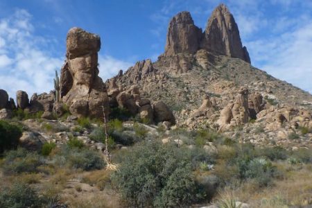 Weavers_Needle Crosscut